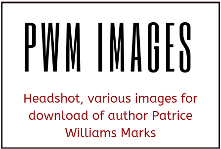Images and Branding For Author Patrice Williams Marks